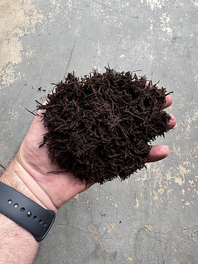 Premium Gritty New Zealand Tree Fern Fiber Growing Medium and Reptile Substrate- Natural, Organic, Long Lasting | for Orchids and Tropicals | Use in Terrariums and Vivariums (1 Gallon)