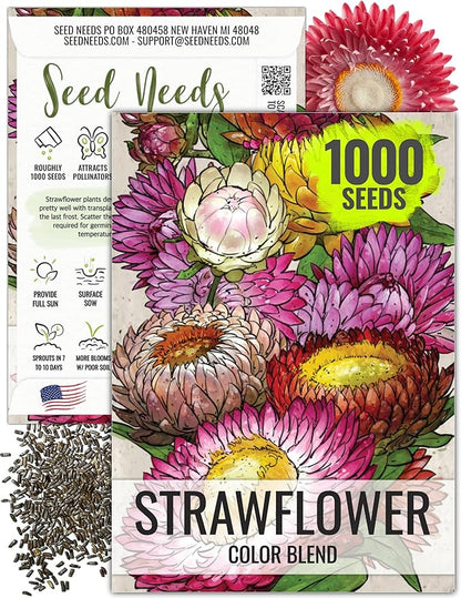 Seed Needs Strawflower Seeds for Planting - Heirloom & Open Pollinated Annual Flower Seed - Grow a Colorful Mix of Wildflowers for a Butterfly Garden, Bouquets & Floral Arrangements (1 Pack)