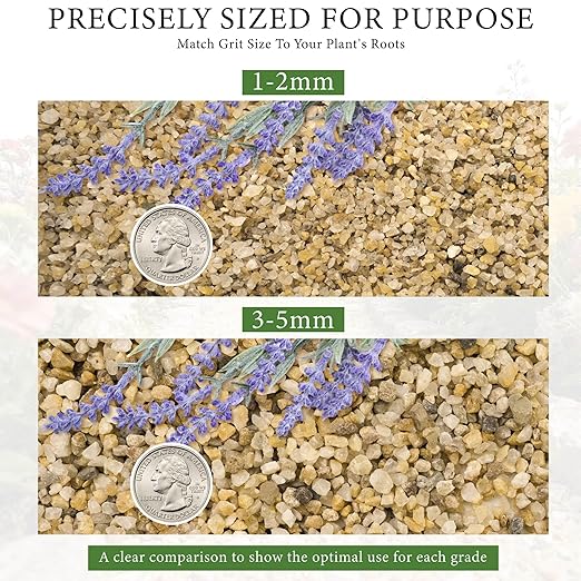 8LB Horticultural Sand for Succulents and Cactus Soil, 3-5mm Natural Coarse Sand for Plants, Multi-Purpose Silica Horticultural Grit for Aquarium, Vase Filler, Fire Pit & Garden Decor