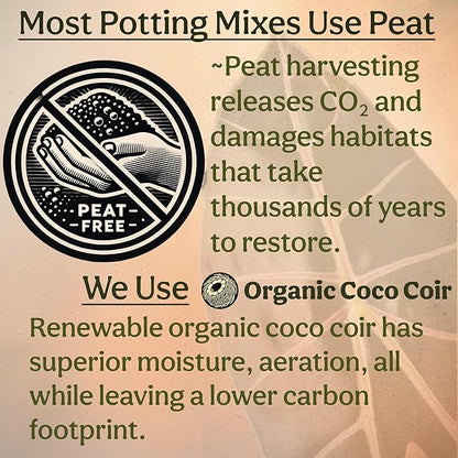 Craft Aroid Potting Mix- Elite Organic Alocasia, Philodendron, Monstera Soil Mix, Chunky, Well Draining Potting Soil for Indoor Plants, All Tropical Plants & Houseplants, Sustainable & Peat Free 4QT