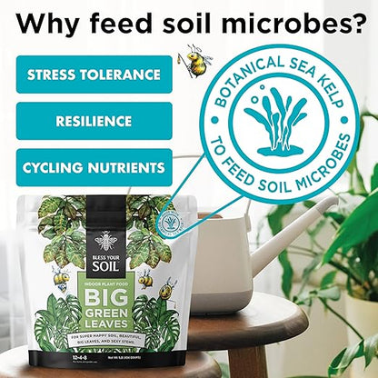 All Purpose Indoor Outdoor Fertilizers & Plant Food : Bless Your Soil