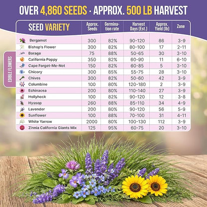 Organo Republic 15 Edible Flower Seeds Variety Pack- Indoor/Outdoor. 4800+ Non-GMO Heirloom Flower: Borage, Bishop's Flower, Chicory, Chives, Hyssop, Echinacea, Lavender Seeds & More