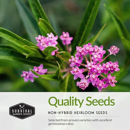 Survival Garden Seeds Milkweed Collection Seed Vault – Butterfly, Common & Rose (Swamp) Milkweed for Monarchs – Non-GMO Heirloom Seeds for Planting & Growing in a Pollinator Garden