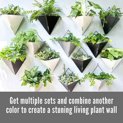 LaLaGreen Wall Planters - 4 Pack, 12 Inch Large Self Watering White and Gray Mixed Color Geometric Indoor Vertical Garden Plant Wall Hanging Flower Vase Vessel with Black Metal Hanger Modern Stylish