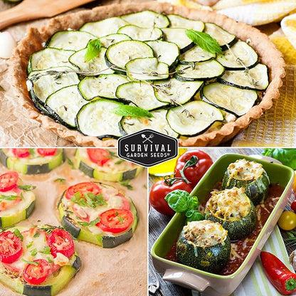 Survival Garden Seeds - Round Zucchini Seed for Planting - 3 Packs with Instructions to Plant & Grow Small Green Zucchinis in Your Home Vegetable Garden - Non-GMO Heirloom Variety - Seed Vault