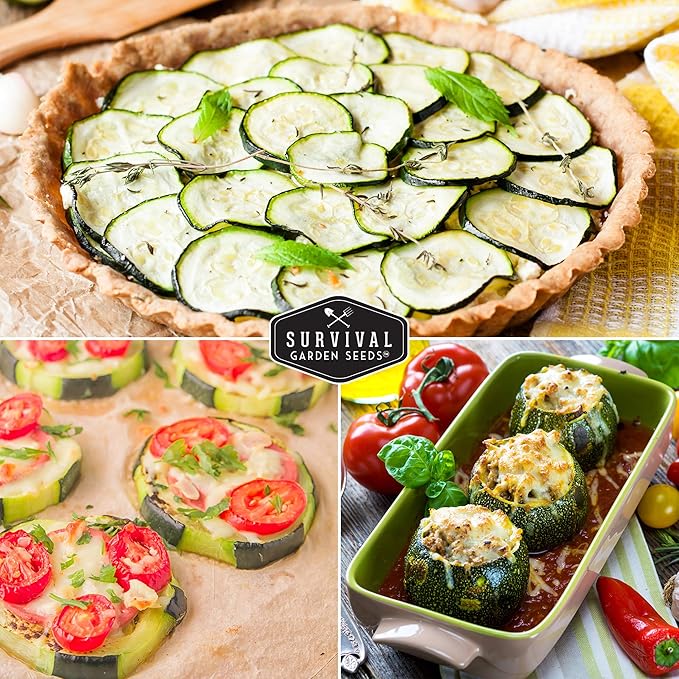 Round Zucchini Seed for Planting - Plant and Grow Small Green Zucchinis in Your Home Vegetable Garden - Non-GMO Heirloom Variety - Survival Garden Seeds (1 Pack)