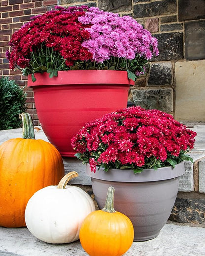 The HC Companies Rings Flower Planter - Self Watering Plant Pots for Herbs & More - Round Lightweight Outdoor & Indoor Planter (8" Warm Red, Pack of 1)