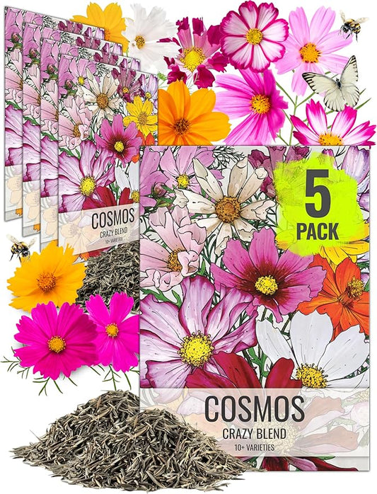 Seed Needs Flower Seeds Cosmos Crazy Blend No Filler 10+ Varieties | Cosmo Bipinnatus Open Pollinated Untreated | Resealable Packaging Keeps Seeds Fresh | Cosmos Flowering Seed Mix (5 Bulk Packs)