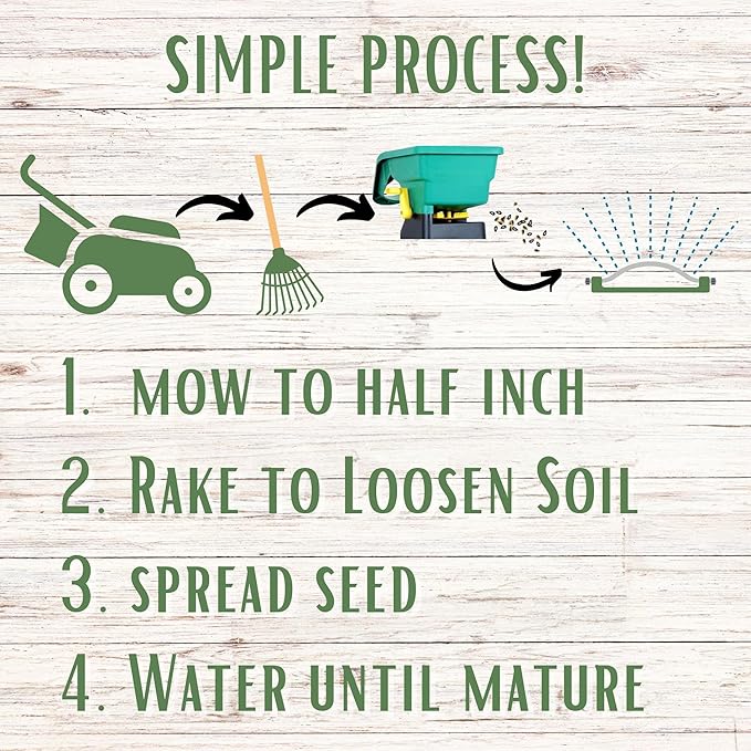 Flawn Seed Kits Simple Lawn Mow Less Fine Fescue Eco-Grass Seed, 4 Lbs, Low Maintenance, Resealable Pail with Handle, Covers up to 2000 Sqft