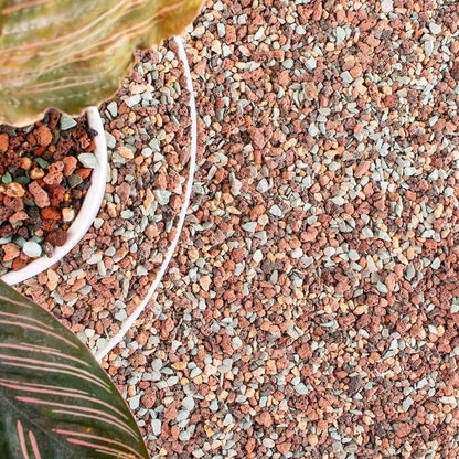 18lb Mix Lava Rocks for Plants in Door -Gravel Pebbles for Bonsai Succulent Cactus Potting Soil and Vase Fillers, Fairy Gardening,Top Dressing