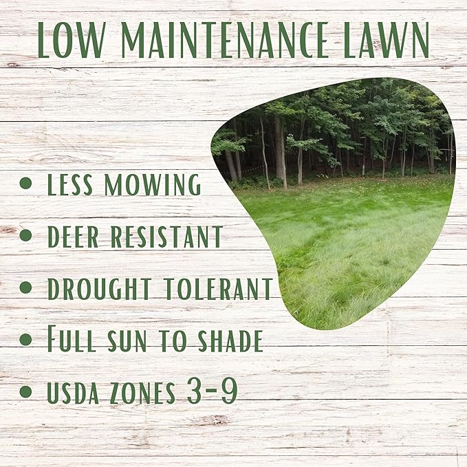 Flawn Seed Kits Simple Lawn Mow Less Fine Fescue Eco-Grass Seed, 1 Lb, Low Maintenance, Shade Tolerant, Covers up to 500