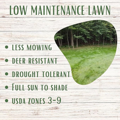 Flawn Seed Kits Simple Lawn Mow Less Fine Fescue Eco-Grass Seed, 1 Lb, Low Maintenance, Shade Tolerant, Covers up to 500