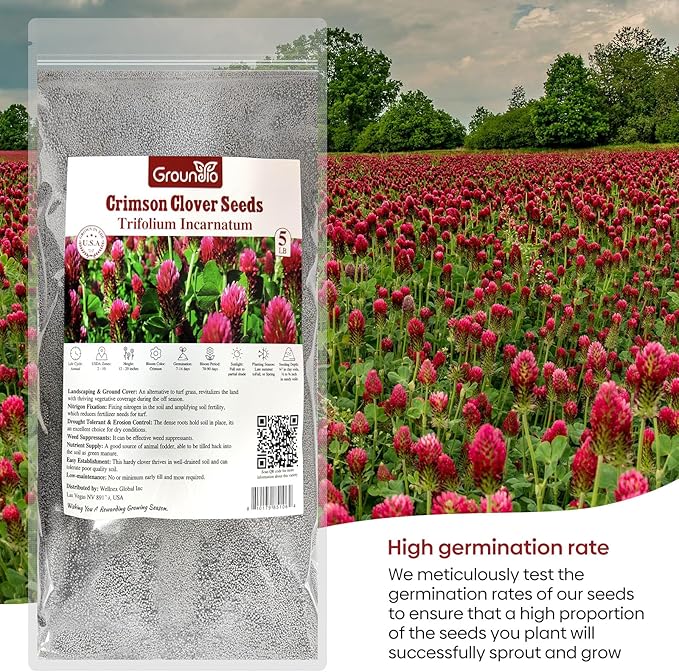 Crimson Clover Seeds, 5 lbs, Annual Red Clover Seeds for Lawn Alternative, Attracts Pollinators, Nitrocoated and Inoculated Seeds