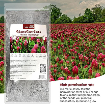 Crimson Clover Seeds, 5 lbs, Annual Red Clover Seeds for Lawn Alternative, Attracts Pollinators, Nitrocoated and Inoculated Seeds