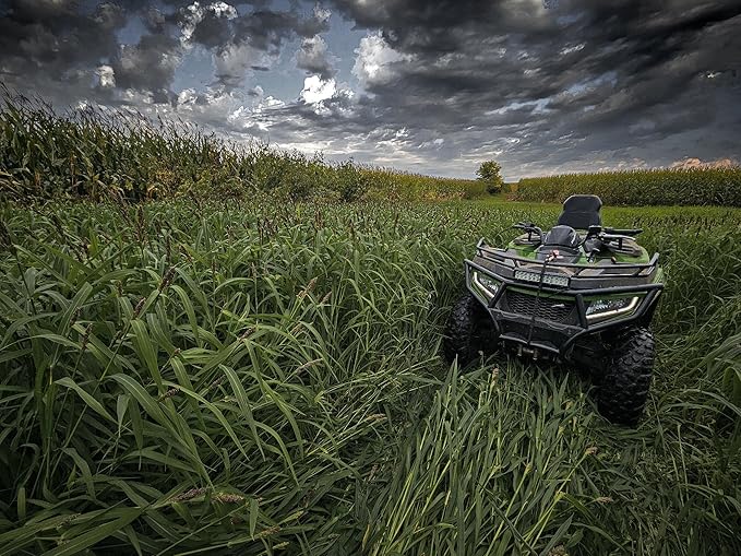 Domain Outdoor Landing Strip Food Plot Seed Mix - 1/4 Acre - Millet & Sorghum Blend for Waterfowl, Upland Birds, and Deer