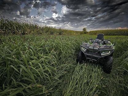 Domain Outdoor Landing Strip Food Plot Seed Mix - 1/4 Acre - Millet & Sorghum Blend for Waterfowl, Upland Birds, and Deer