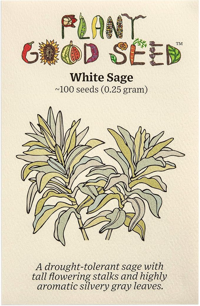Plant Good Seed Organic White Sage Seeds for Planting: California Native Plant, Silvery Leaves - 100 Seed Packet