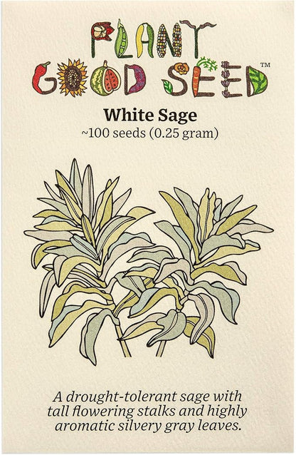 Plant Good Seed Organic White Sage Seeds for Planting: California Native Plant, Silvery Leaves - 100 Seed Packet