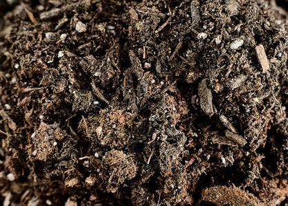 LGM Premium Cactus & Succulent Soil Mix (0.5 Cu Ft) – Root Rot Protection with Volcanic Ash & Chicken Manure – Fast Draining Mix for Indoor Plants, Aloe, Citrus, & Palms – Organic, Ready-to-Use
