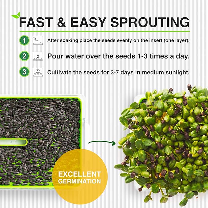 Organic Microgreen Sprouting Seeds 6-Pack – Non-GMO Heirloom Microgreens Seed Variety Pack – Sunflower, Alfalfa, Arugula, Beetroot, Radish, Cress – Fast Growing Indoor Garden Superfood