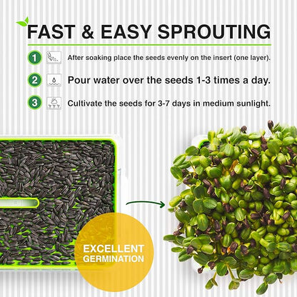 Organic Microgreen Sprouting Seeds 6-Pack – Non-GMO Heirloom Microgreens Seed Variety Pack – Sunflower, Alfalfa, Arugula, Beetroot, Radish, Cress – Fast Growing Indoor Garden Superfood