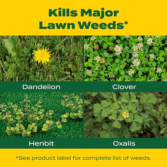 Scotts Liquid Turf Builder with Plus 2 Weed Control - Liquid Weed Killer and Fertilizer, 32 fl. oz. (2-Pack)