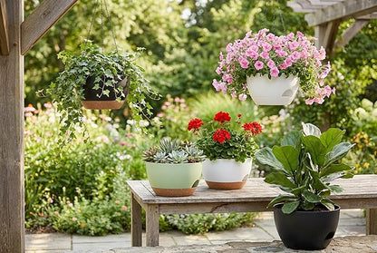 Hanging Planters 3-Pack, 8 Inch Self-Watering Hanging Pots with Drainage Hole and Chains, Plastic Planters for Indoor Outdoor（White）