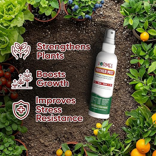 Hormex Mother Mist Cal-Mag-Iron + B1 Plant Nutrient Deficiency Spray - Boost Growth, Strength & Cloning Success - All Purpose Foliar Spray for Houseplants, Flowers & Vegetables, 8oz
