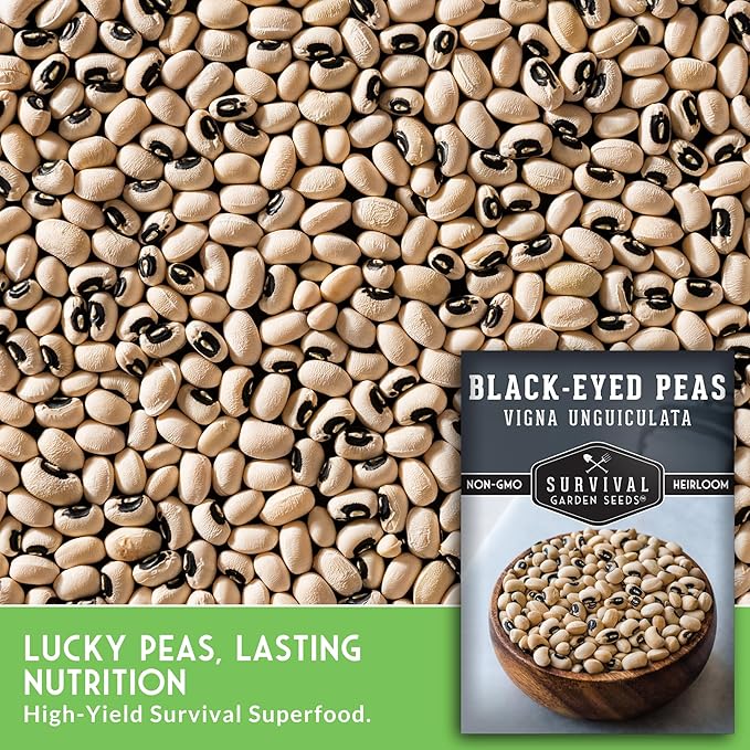 Black Eyed Pea Seeds for Planting - Heirloom Non-GMO Cowpea Variety - Drought Tolerant, High-Yield Southern Field Peas for Home Gardens and Food Independence - Survival Garden Seeds (2 Pack)