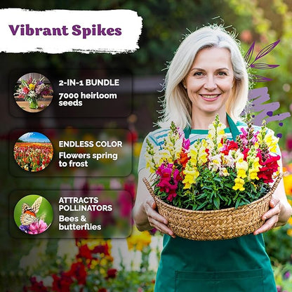 1500 Mix Tetra Snapdragon Seeds (Antirrhinum Majus) & 5500 Mix Dwarf Fairy Bouquet Snapdragon Seeds (Linaria Maroccana) – Heirloom & Organic Flower Garden Seeds, Cut Flower Seeds for Planting