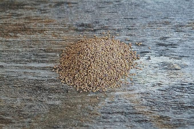 Hale Habitat & Seed Alfalfa Food Plot Seed, 5 lbs, Perennial