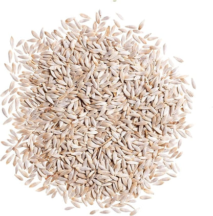 Seed Needs Romaine Lettuce Seeds for Planting Parris Island COS - Non-GMO Heirloom & Untreated Annual Cool Weather Crops - Grow a Home Grown Outdoor Vegetable Garden (1 Pack)