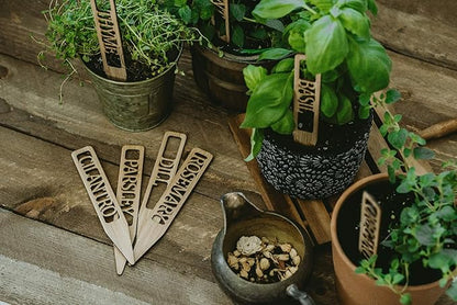 Bamboo Plant Labels | Laser Cut 6" x 1" Weatherproof Plant Markers, Outdoor Plant Markers, Herb Garden Signs