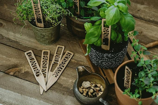 Bamboo Plant Labels | Laser Cut 6" x 1" Weatherproof Plant Markers, Outdoor Plant Markers, Herb Garden Signs