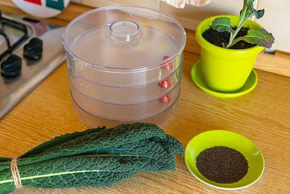 Food to Live Kale Seeds, 3 Pounds – Great for Sprouting and Planting, High Germination Rate, Non-Irradiated, Kosher, Vegan, Bulk, Grow Amazing Sprout, Microgreens and Plants for Salads, Sirtfood