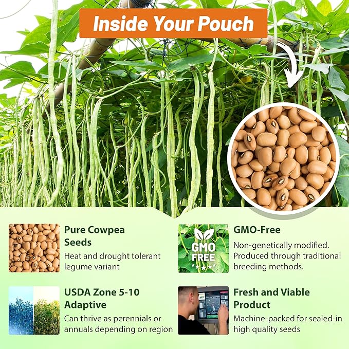 Outsidepride Cowpeas Seeds - 5 lbs Heat & Drought-Tolerant, Nutrient-Rich Cowpea Seeds for Cover Crops, Food Plots, Forage - Ideal for Planting, Enhancing Soil Health, and Improving Soil Fertility