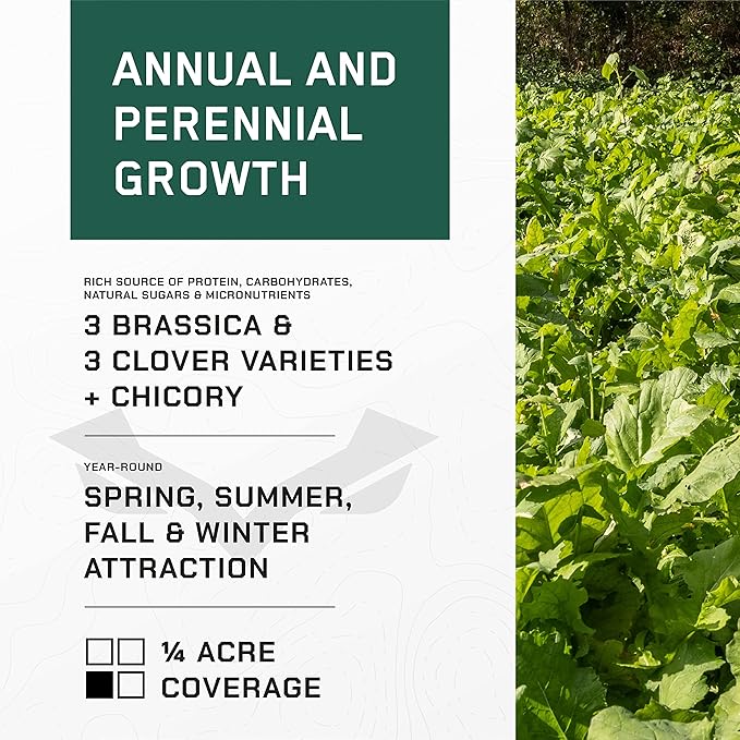 All-in-One Food Plot Seed + Fertilizer for Deer - 1/4 Acre Coverage - Perennial + Annual Blend - Protein and Micronutrients for Wildlife - Brassicas, Clovers, Chicory - Illusion Systems (4 Seasons)