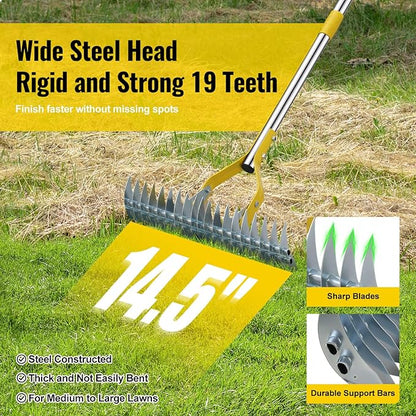 Garden Leaf Rake,Dual Function Thatching Rake for Lawn Dead Grass Leaves, Stainless Steel Heavy Duty 69” Lawn Dethatcher with Sharp 19 Tines, Fast Weeds, Leaf, Thatch, Dead Grass Removal Garden Tool