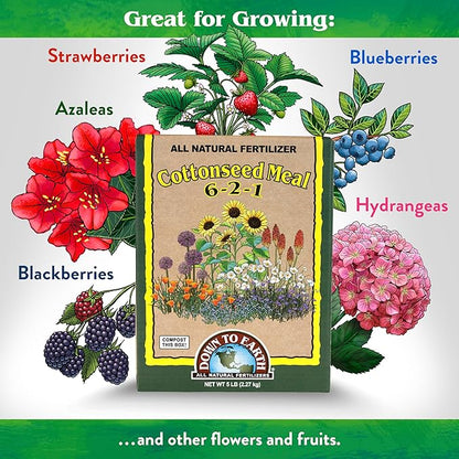 Down To Earth All Natural Fertilizers Organic Cottonseed Meal - Plant Food for Low pH Acid Soil Loving Plants 6-2-1, 5 lb