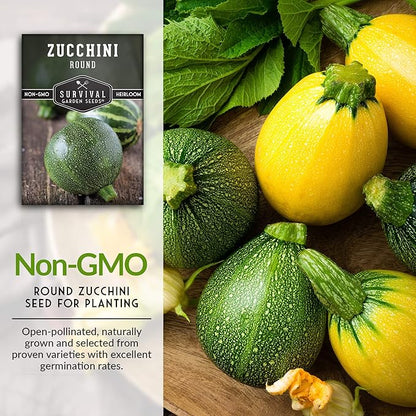 Round Zucchini Seed for Planting - Plant and Grow Small Green Zucchinis in Your Home Vegetable Garden - Non-GMO Heirloom Variety - Survival Garden Seeds (1 Pack)