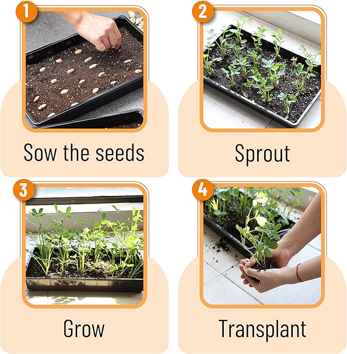 Mr. Pen- Plastic Growing Trays, 5Pack, Black, 17x10, Plant Tray, Seed Tray, Seedling Tray, Propagation Tray, Plant Trays for Seedlings, Planting Trays, Microgreens Growing Trays, Seedling Starter Tray