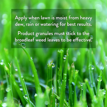 GreenView Weed & Feed - 39 lb. Bag - Covers 15,000 sq. ft.