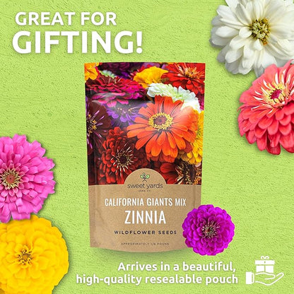 Bulk Zinnia Seeds - California Giants Mix - Bulk 1/4 Pound Bag Over 12,000 Flower Seeds - Mixed Colors and Large Blooms