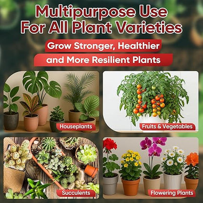 Hormex Mother Mist Cal-Mag-Iron + B1 Plant Nutrient Deficiency Spray - Boost Growth, Strength & Cloning Success - All Purpose Foliar Spray for Houseplants, Flowers & Vegetables, 8oz
