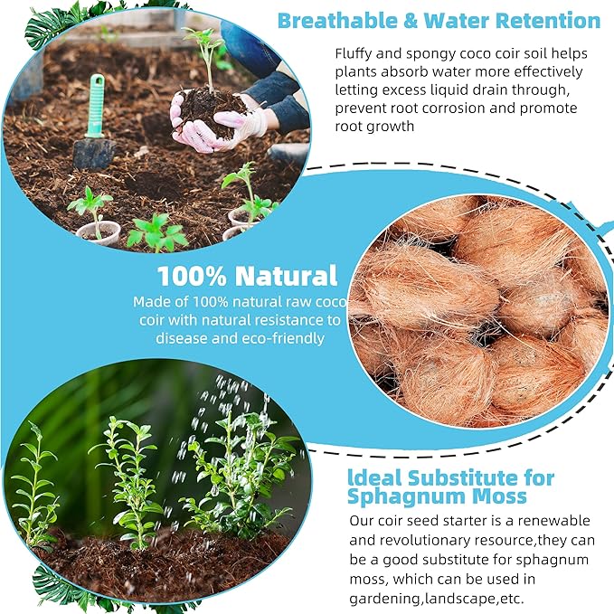 Coco Coir Bricks 6 Pack Premium 100% Organic Peat Moss, Fiber Coconut Husk for Planting, Gardening, Potting Soil Substrate