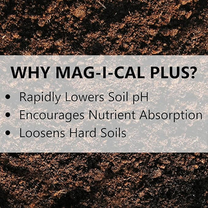 Jonathan Green (11357) Mag-I-Cal Plus Soil Food for Lawns in Alkaline & Hard Soils - Soil Amendment for Grass (15,000 Sq. Ft.)