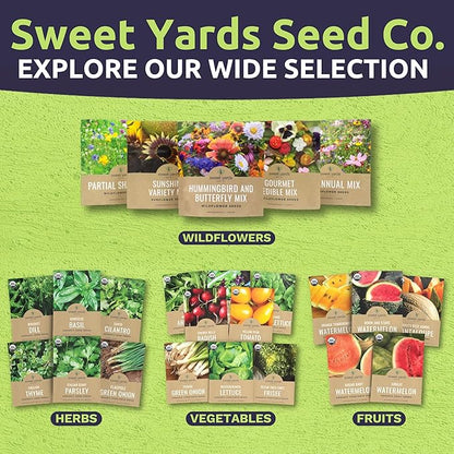 Catnip Seeds – Two Seed Packets! – Over 880 Open Pollinated Non-GMO Seeds – Sweet Yards Seed Co.