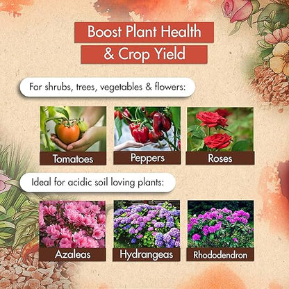Muriate of Potash 0-0-60 Fertilizer, High Potassium Fertilizer for Plants, Ideal Plant Food & Potash Fertilizer for Plants - Boosts Growth of Turf, Shrubs, Trees, Flowers, Fruits & Vegetables, 5 lb