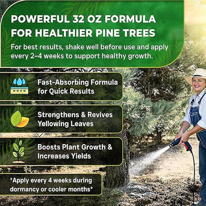 Leaves and Soul Professional Pine Tree Fertilizer Liquid Concentrate - 6-4-6 Blend for Pine, Garden Use - Liquid Plant Food for Pine Trees and Shrubs Outdoors - 32oz