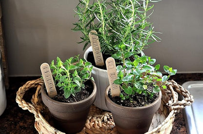 Organic Potting Soil Mix for All Indoor & Outdoor Small Containers Including Herbs, Vegetables, and Flowers 2 qt